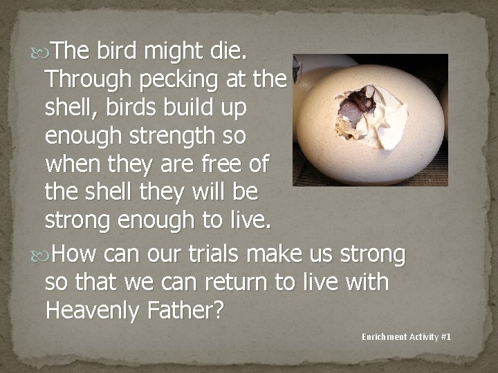  The bird might die. Through pecking at the shell, birds build up enough