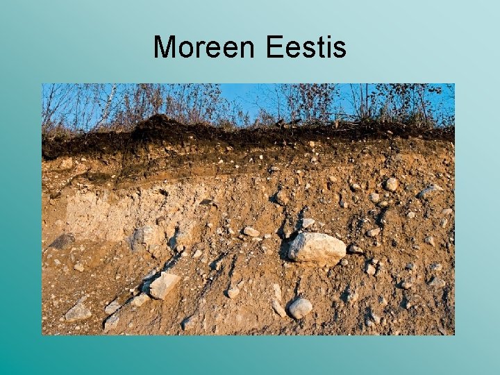 Moreen Eestis Moreen Eestis