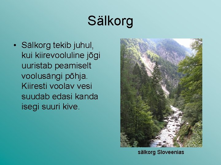 Sälkorg • Sälkorg tekib juhul, kui kiirevooluline jõgi uuristab peamiselt voolusängi põhja. Kiiresti voolav Sälkorg • Sälkorg tekib juhul, kui kiirevooluline jõgi uuristab peamiselt voolusängi põhja. Kiiresti voolav