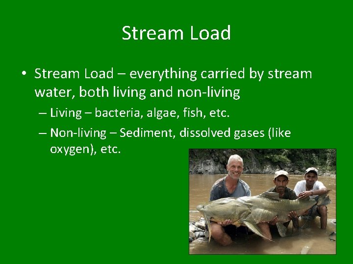 Stream Load • Stream Load – everything carried by stream water, both living and