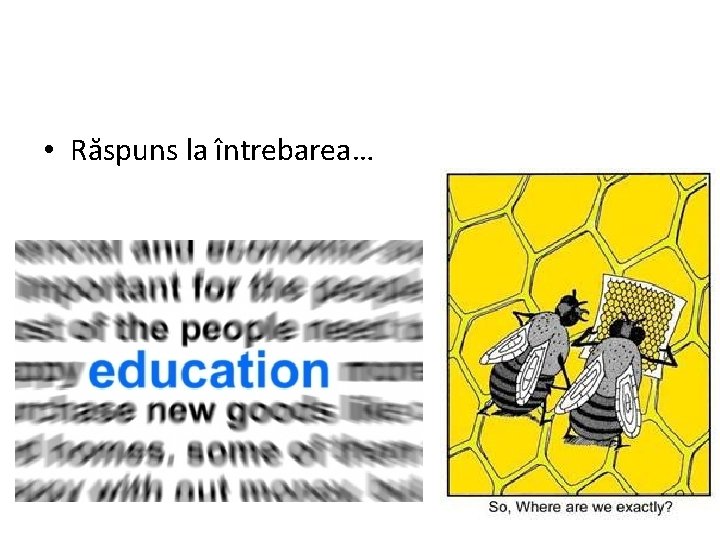  • Răspuns la întrebarea… 