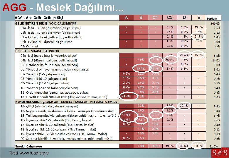 AGG - Meslek Dağılımı. . . AGG - Asıl Geliri Getiren Kişi Tüad www.