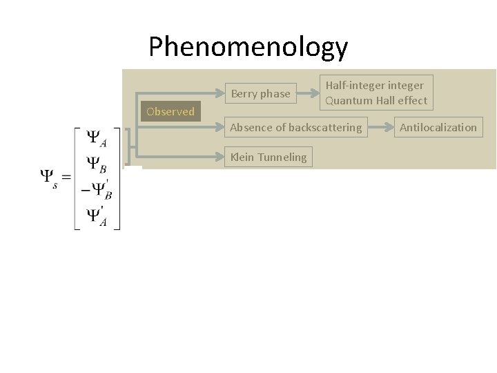 Phenomenology Berry phase Observed Half-integer Quantum Hall effect Absence of backscattering Antilocalization Klein Tunneling