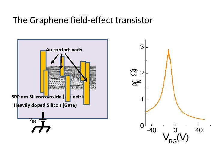 The Graphene field-effect transistor Au contact pads 300 nm Silicon dioxide (dielectric) Heavily doped