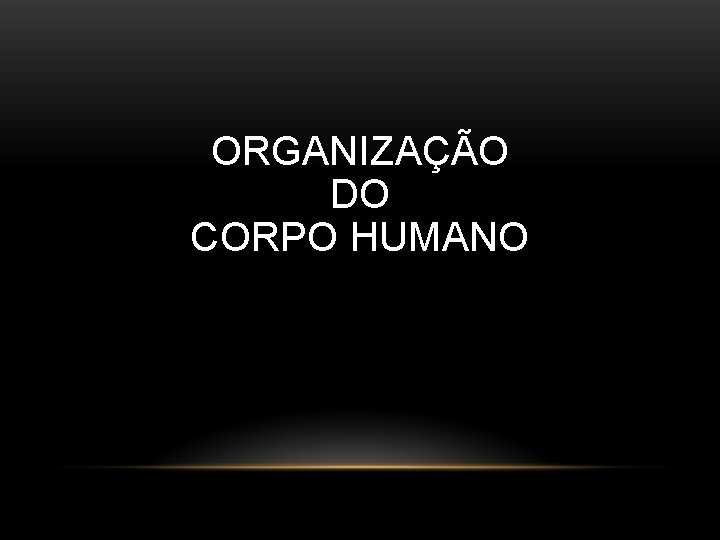 ORGANIZAÇÃO DO CORPO HUMANO 