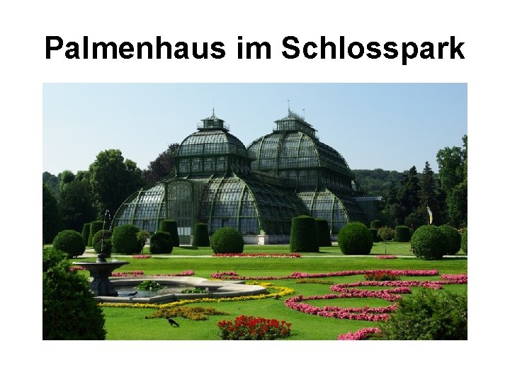 Palmenhaus im Schlosspark 