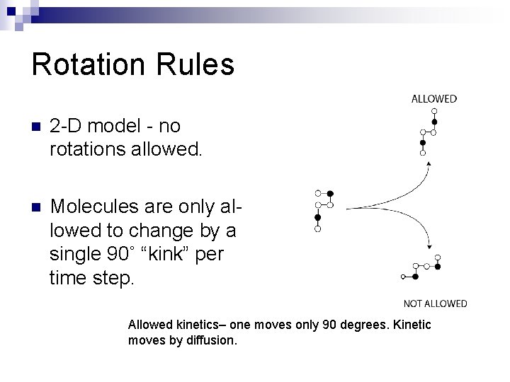 Rotation Rules n 2 -D model - no rotations allowed. n Molecules are only