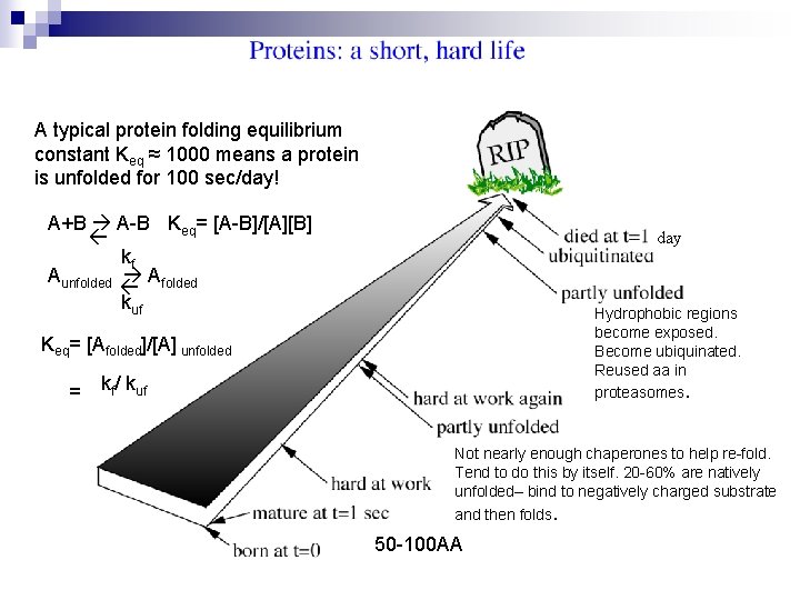 A typical protein folding equilibrium constant Keq ≈ 1000 means a protein is unfolded