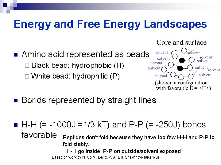 Energy and Free Energy Landscapes n Amino acid represented as beads ¨ Black bead: