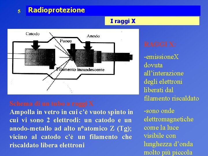 5 Radioprotezione I raggi X RAGGI X: Schema di un tubo a raggi X