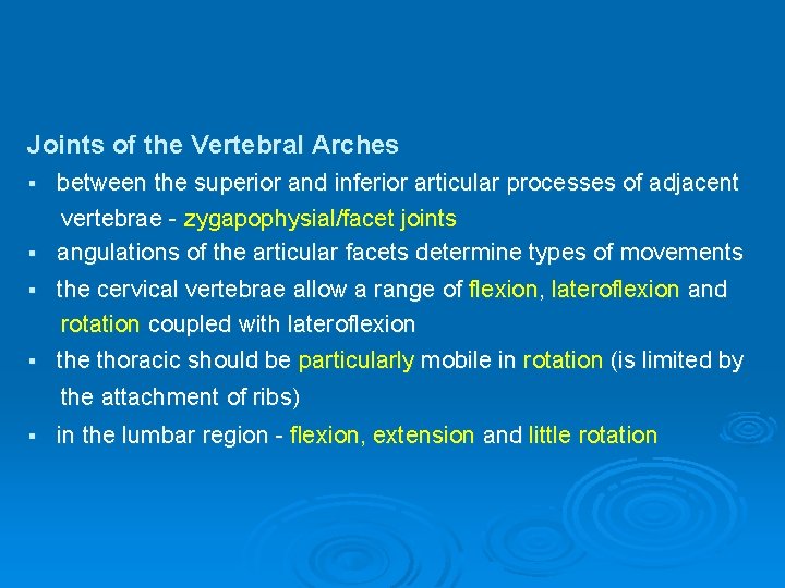 Joints of the Vertebral Arches between the superior and inferior articular processes of adjacent
