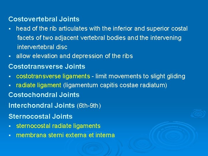 Costovertebral Joints head of the rib articulates with the inferior and superior costal facets