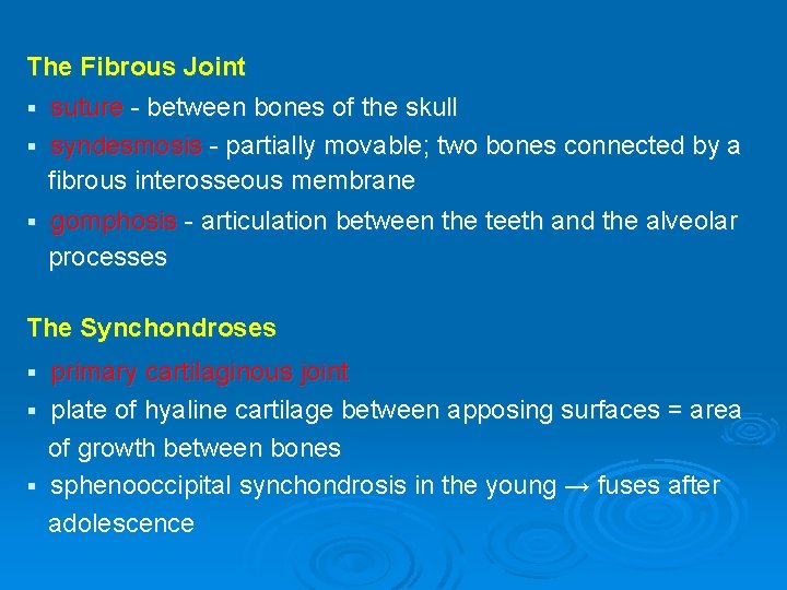 The Fibrous Joint suture - between bones of the skull § syndesmosis - partially