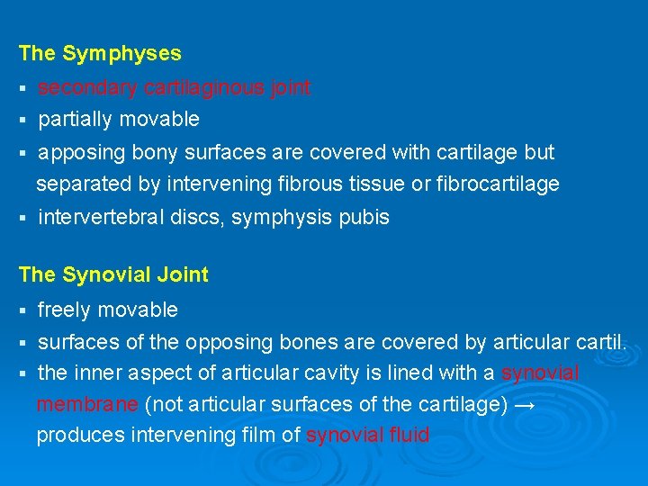 The Symphyses secondary cartilaginous joint § partially movable § § apposing bony surfaces are