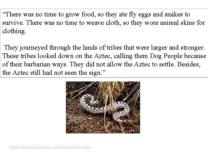 “There was no time to grow food, so they ate fly eggs and snakes “There was no time to grow food, so they ate fly eggs and snakes