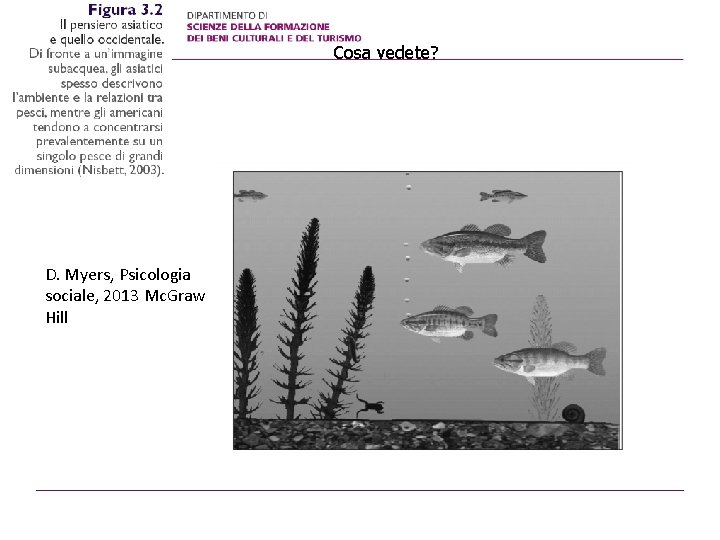 Cosa vedete? D. Myers, Psicologia sociale, 2013 Mc. Graw Hill Cosa vedete? D. Myers, Psicologia sociale, 2013 Mc. Graw Hill