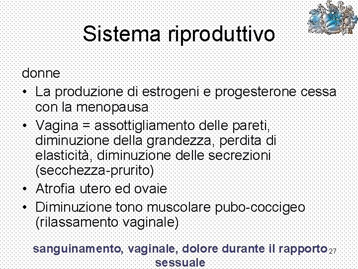 Sistema riproduttivo donne • La produzione di estrogeni e progesterone cessa con la menopausa