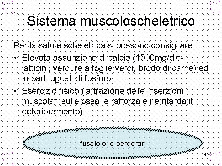 Sistema muscoloscheletrico Per la salute scheletrica si possono consigliare: • Elevata assunzione di calcio