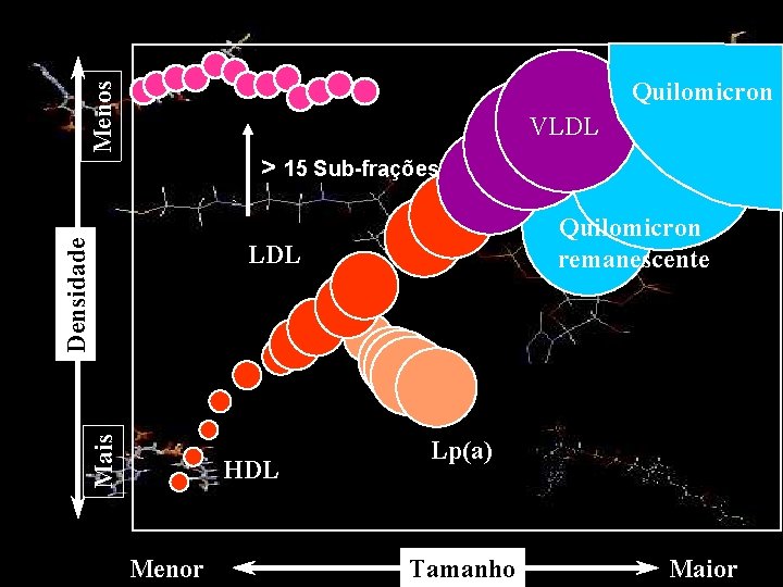 Menos Quilomicron VLDL Densidade > 15 Sub-frações Quilomicron remanescente Mais LDL HDL Menor Lp(a)