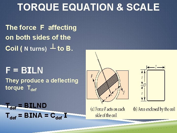 TORQUE EQUATION & SCALE The force F affecting on both sides of the Coil