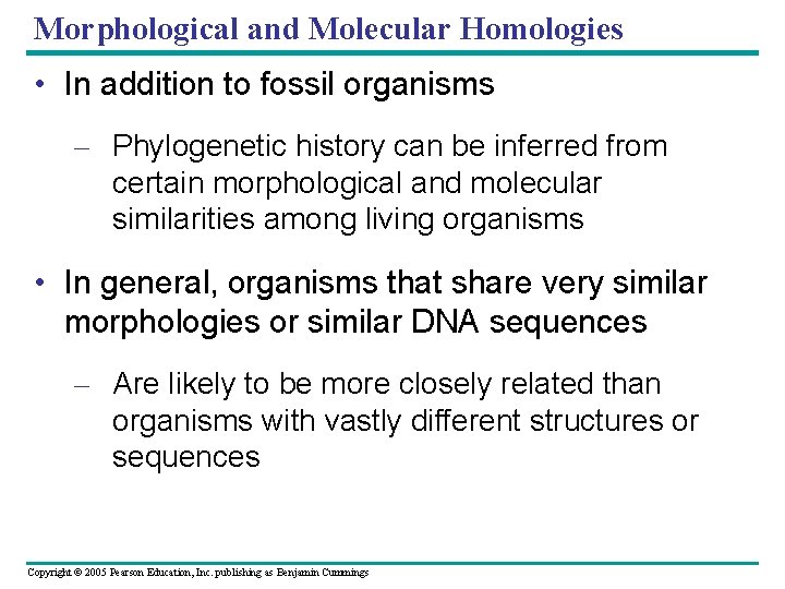 Morphological and Molecular Homologies • In addition to fossil organisms – Phylogenetic history can