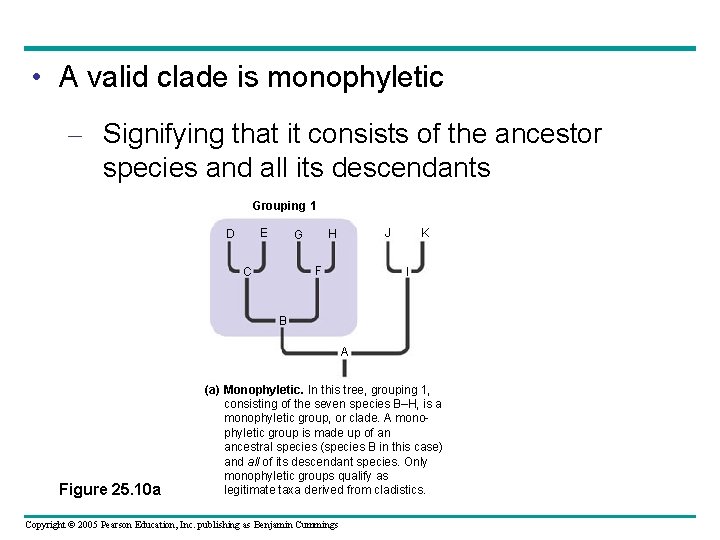  • A valid clade is monophyletic – Signifying that it consists of the