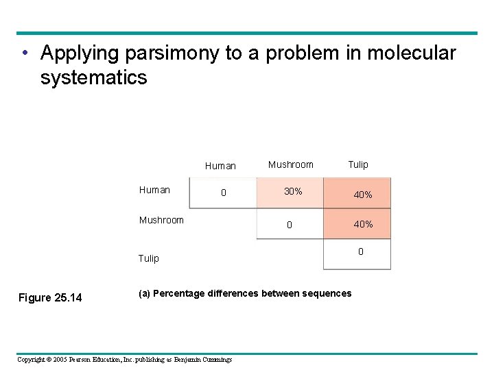  • Applying parsimony to a problem in molecular systematics Human 0 Mushroom Tulip