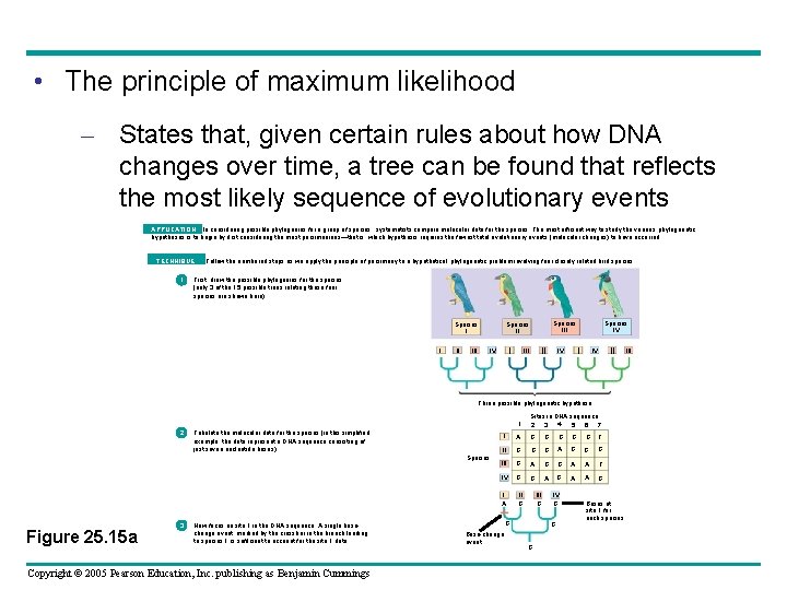  • The principle of maximum likelihood – States that, given certain rules about