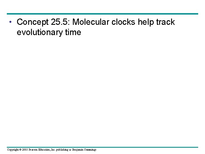  • Concept 25. 5: Molecular clocks help track evolutionary time Copyright © 2005