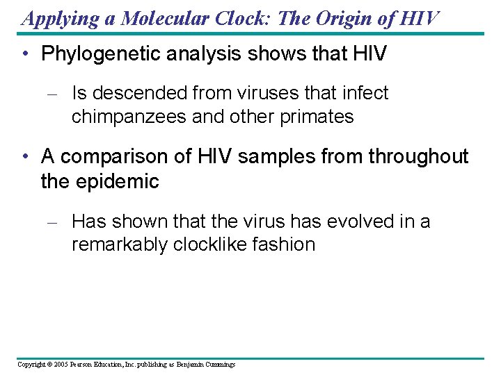 Applying a Molecular Clock: The Origin of HIV • Phylogenetic analysis shows that HIV