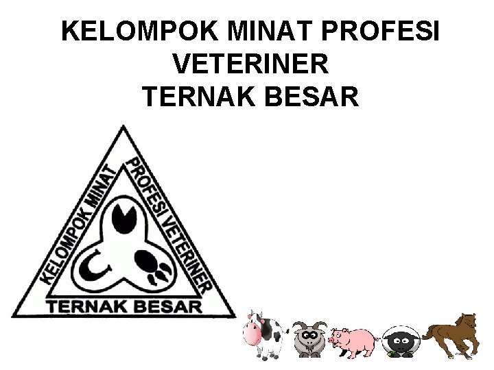 KELOMPOK MINAT PROFESI VETERINER TERNAK BESAR 