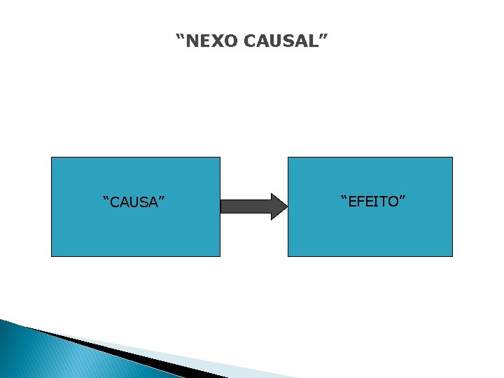 “NEXO CAUSAL” “CAUSA” “EFEITO” 