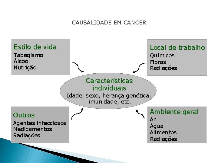 CAUSALIDADE EM C NCER Estilo de vida Local de trabalho Tabagismo Álcool Nutrição Químicos