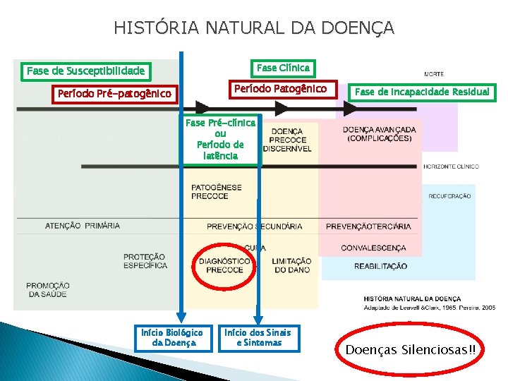 HISTÓRIA NATURAL DA DOENÇA Fase Clínica Fase de Susceptibilidade Período Patogênico Período Pré-patogênico Fase