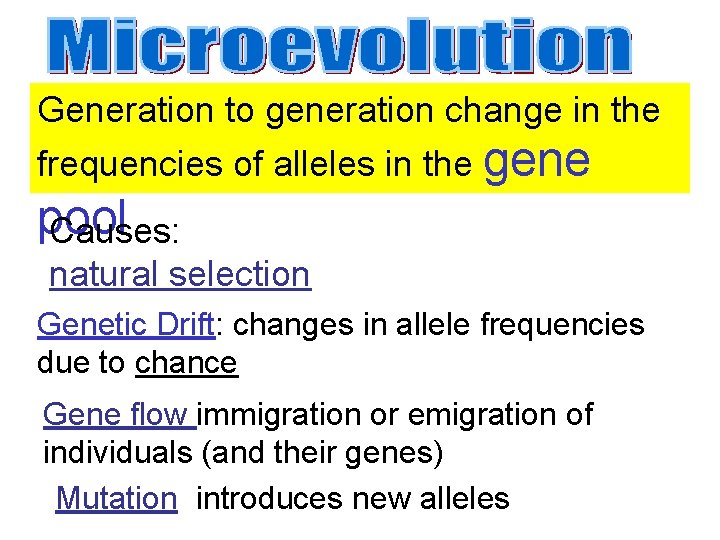 Generation to generation change in the frequencies of alleles in the gene pool Causes:
