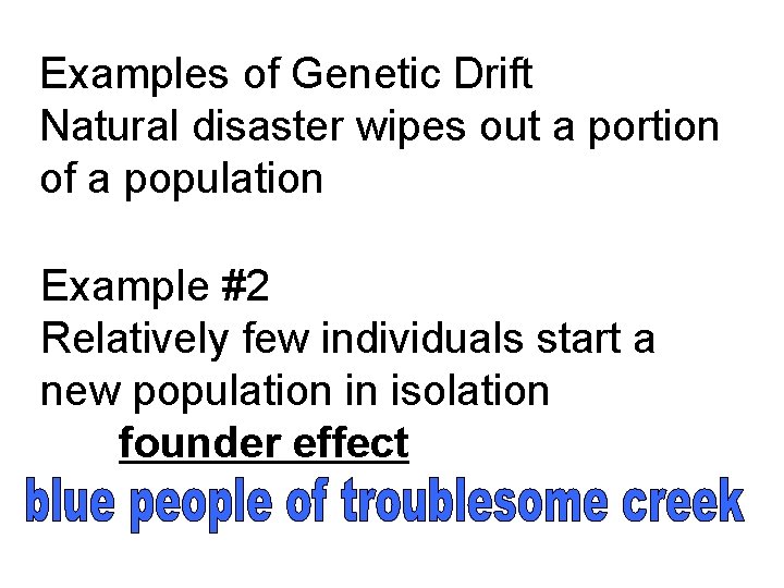 Examples of Genetic Drift Natural disaster wipes out a portion of a population Example