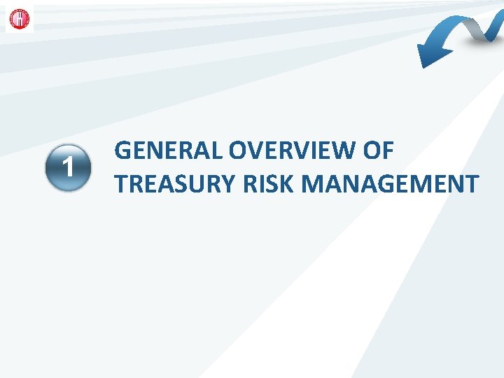 1 GENERAL OVERVIEW OF TREASURY RISK MANAGEMENT 