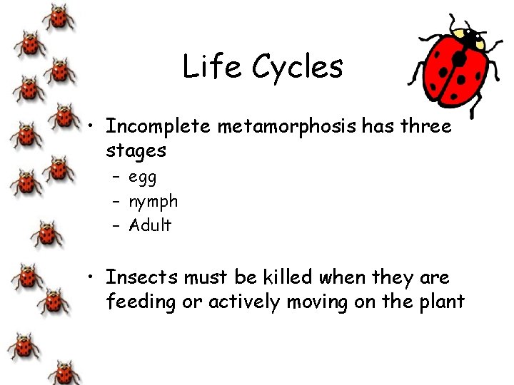 Life Cycles • Incomplete metamorphosis has three stages – egg – nymph – Adult