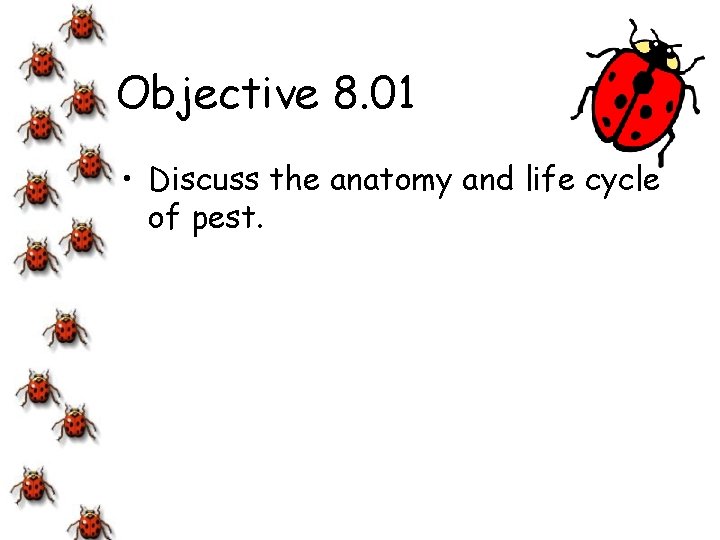 Objective 8. 01 • Discuss the anatomy and life cycle of pest. 