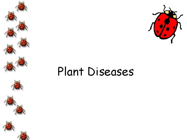 Plant Diseases 