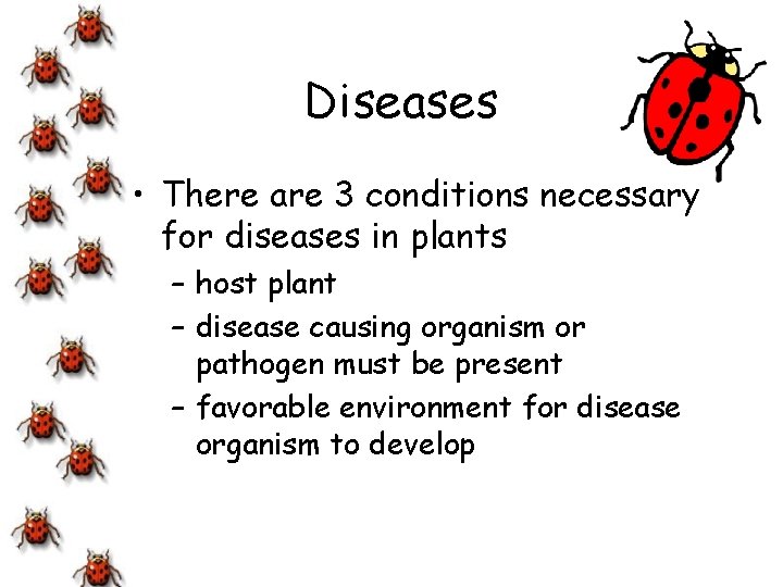 Diseases • There are 3 conditions necessary for diseases in plants – host plant