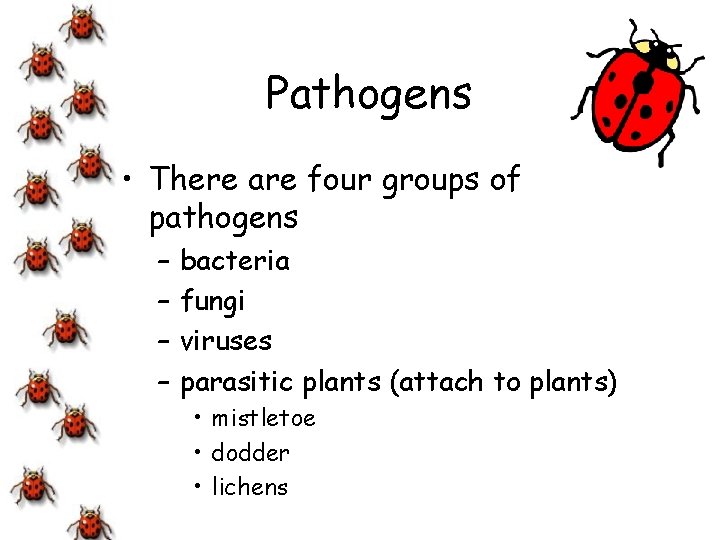 Pathogens • There are four groups of pathogens – – bacteria fungi viruses parasitic