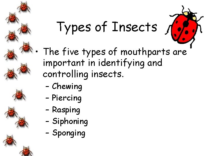 Types of Insects • The five types of mouthparts are important in identifying and