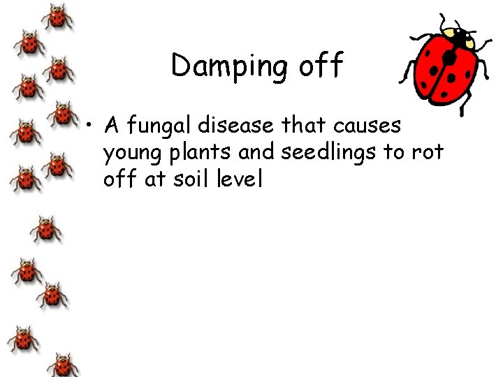 Damping off • A fungal disease that causes young plants and seedlings to rot