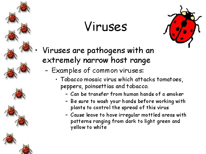 Viruses • Viruses are pathogens with an extremely narrow host range – Examples of