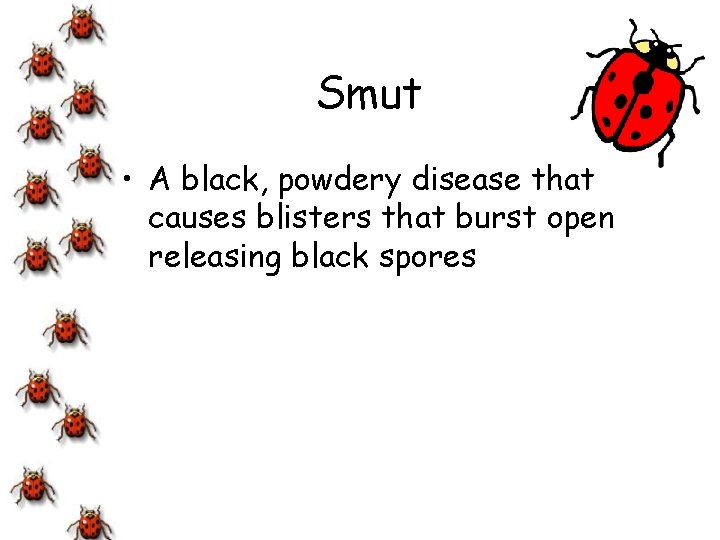 Smut • A black, powdery disease that causes blisters that burst open releasing black
