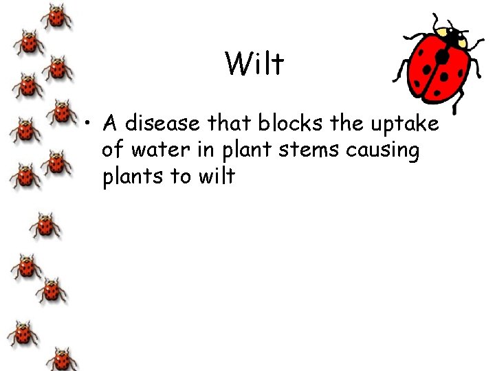 Wilt • A disease that blocks the uptake of water in plant stems causing