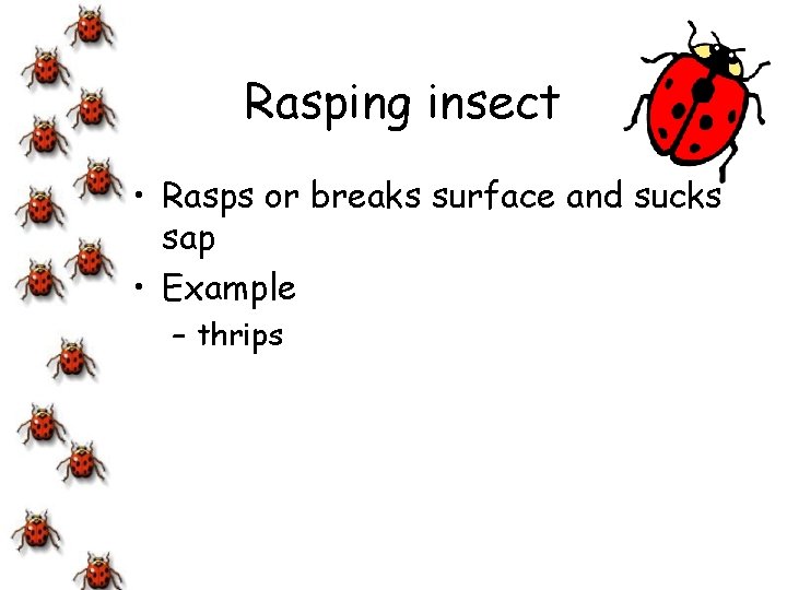 Rasping insect • Rasps or breaks surface and sucks sap • Example – thrips