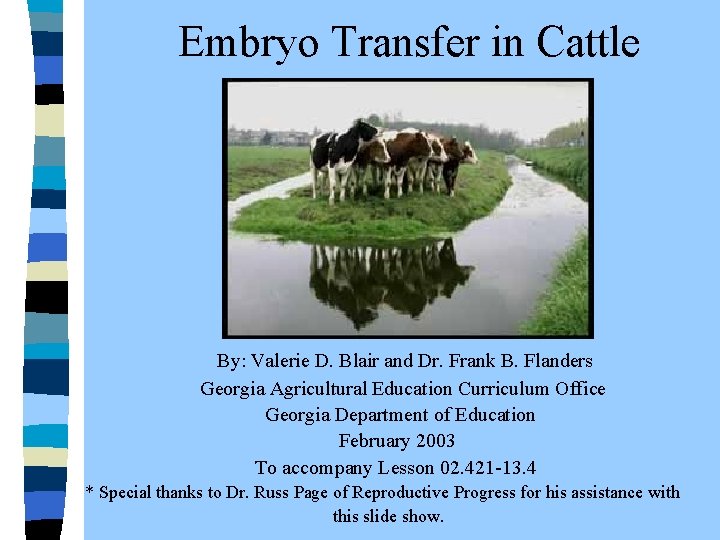  Embryo Transfer in Cattle By: Valerie D. Blair and Dr. Frank B. Flanders