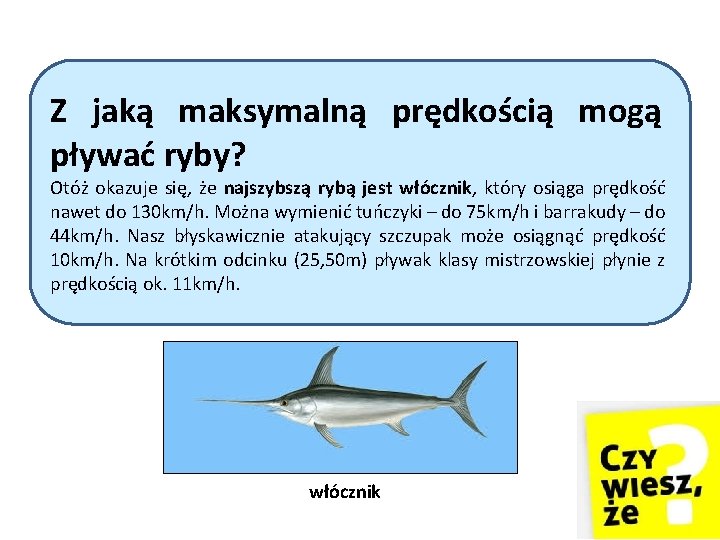 Z jaką maksymalną prędkością mogą pływać ryby? Otóż okazuje się, że najszybszą rybą jest